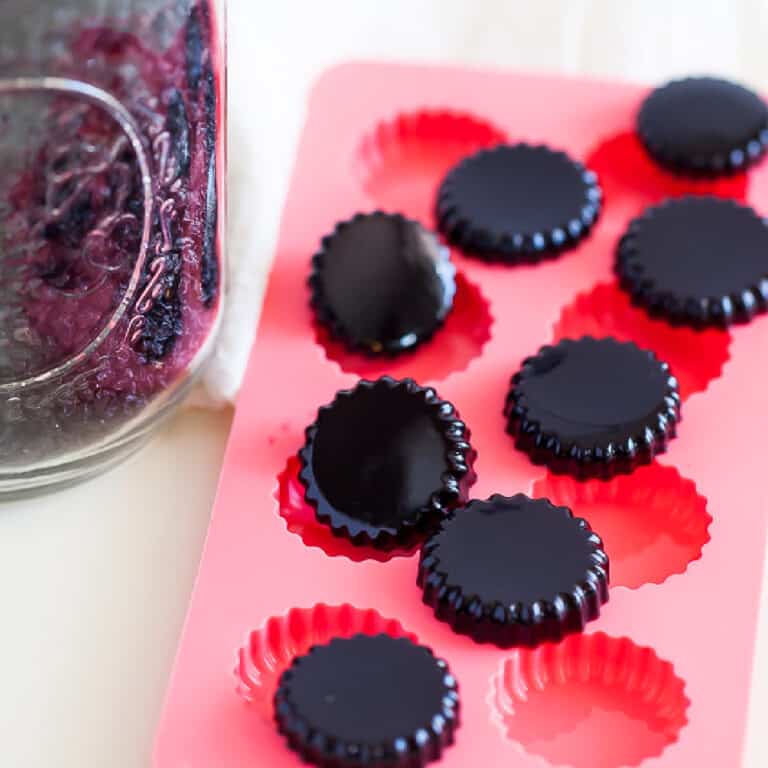 gummies made from elderberry syrup