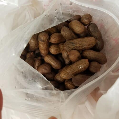 boiled peanuts in a bag